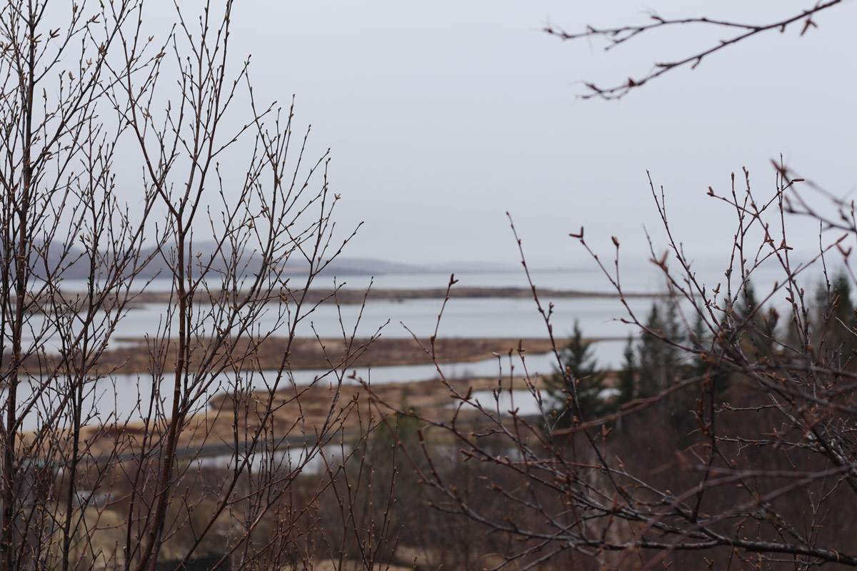 iceland-reykjavik-keflavik-review-photo-diary-travel-blog-golden-circle-tour-1