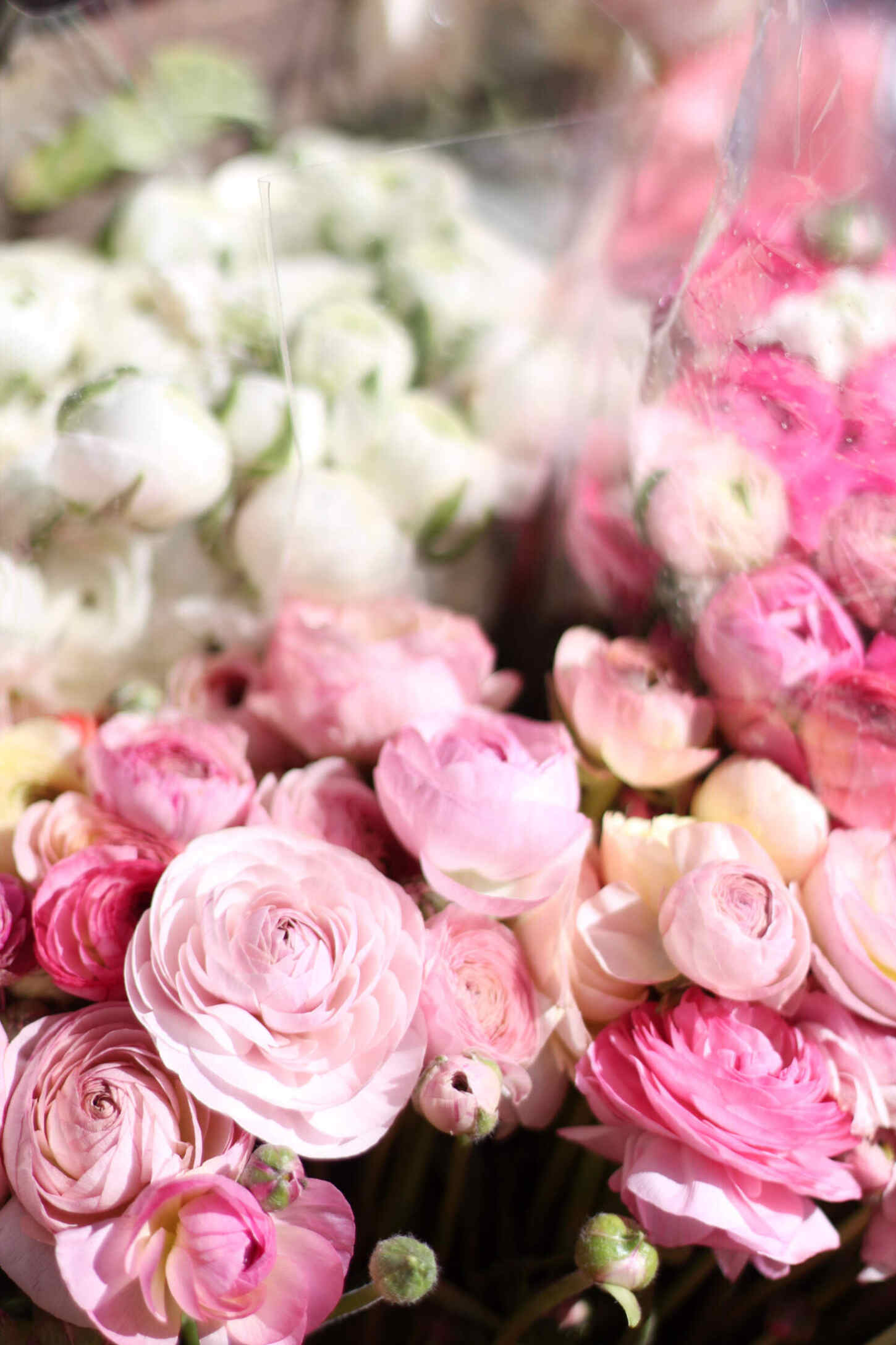 paris-photo-diary-travel-blogger-spring-25 paris-photo-diary-travel-blogger-spring-25