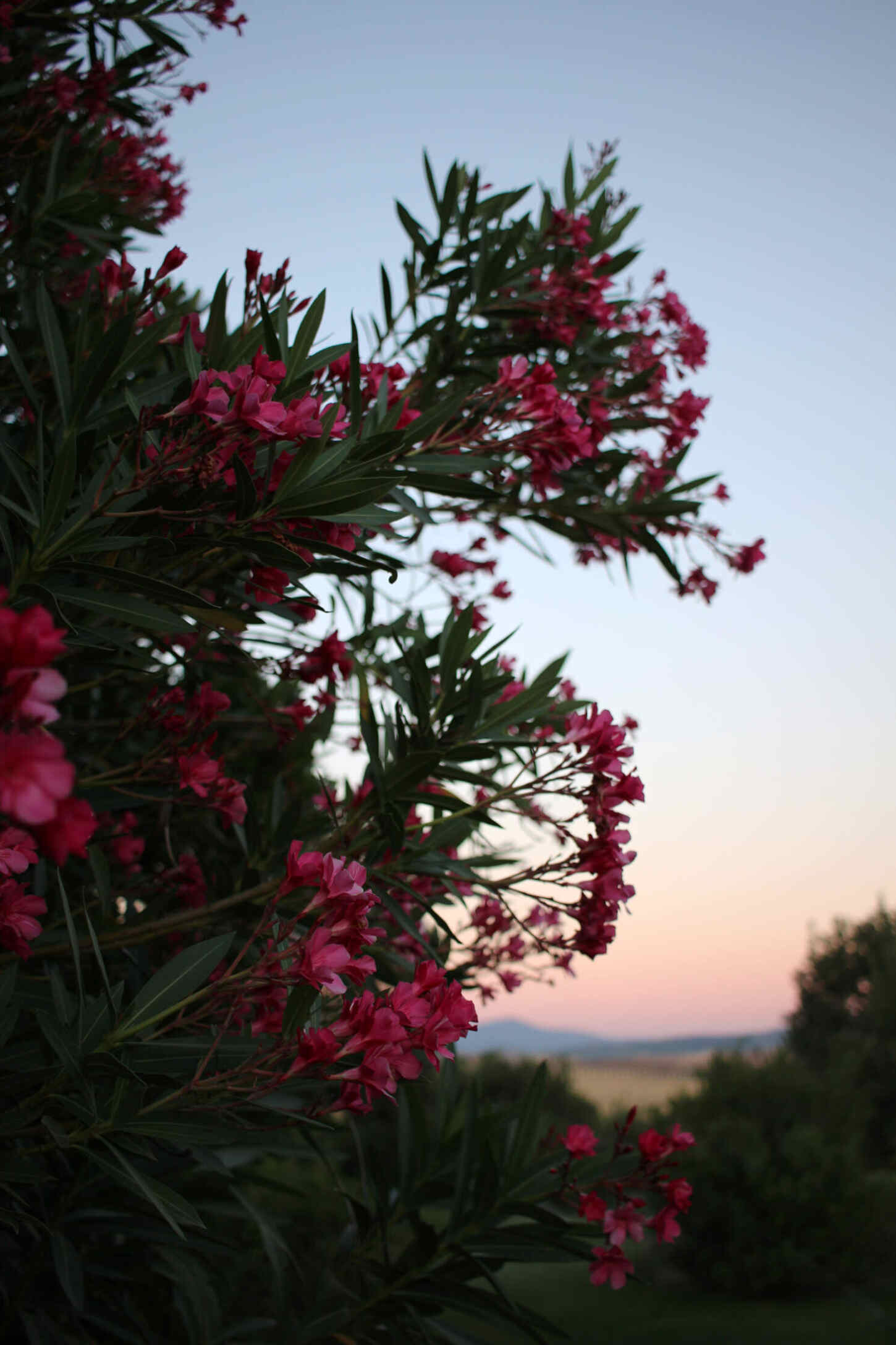 tuscany-adler-thermae-hotel-travel-style-blogger-review-19 tuscany-adler-thermae-hotel-travel-style-blogger-review-19