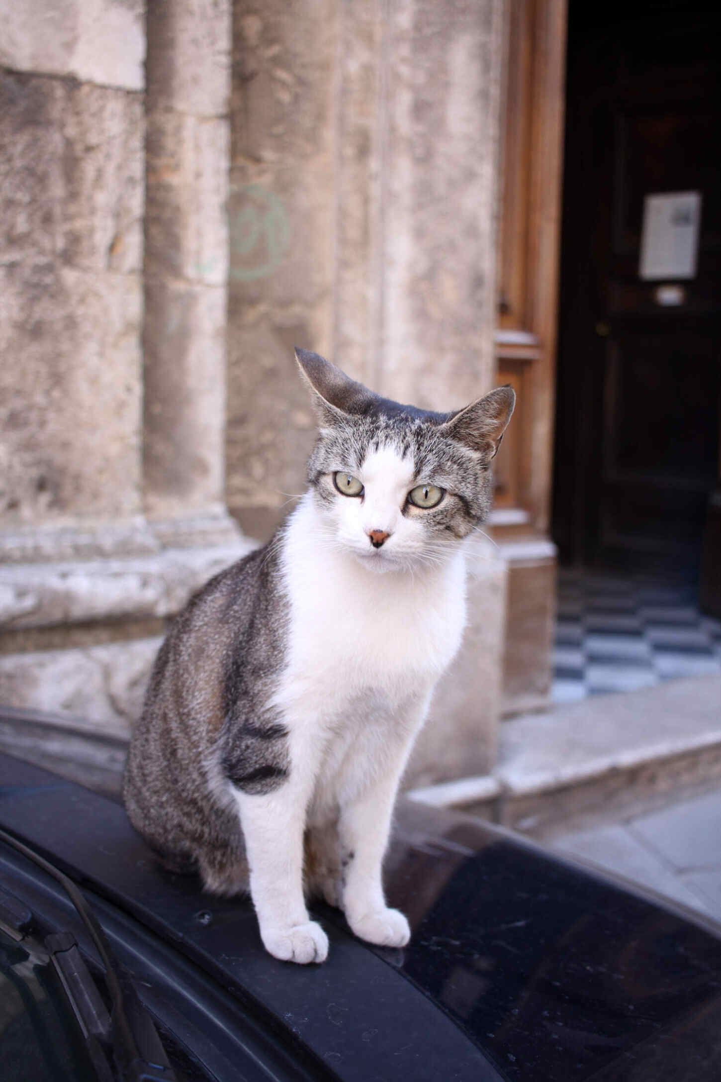 tuscany-italy-montepulciano-travel-blogger-11