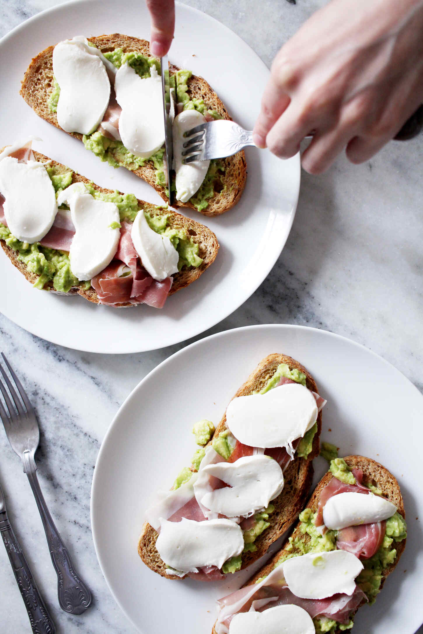 avo-1 avo-1