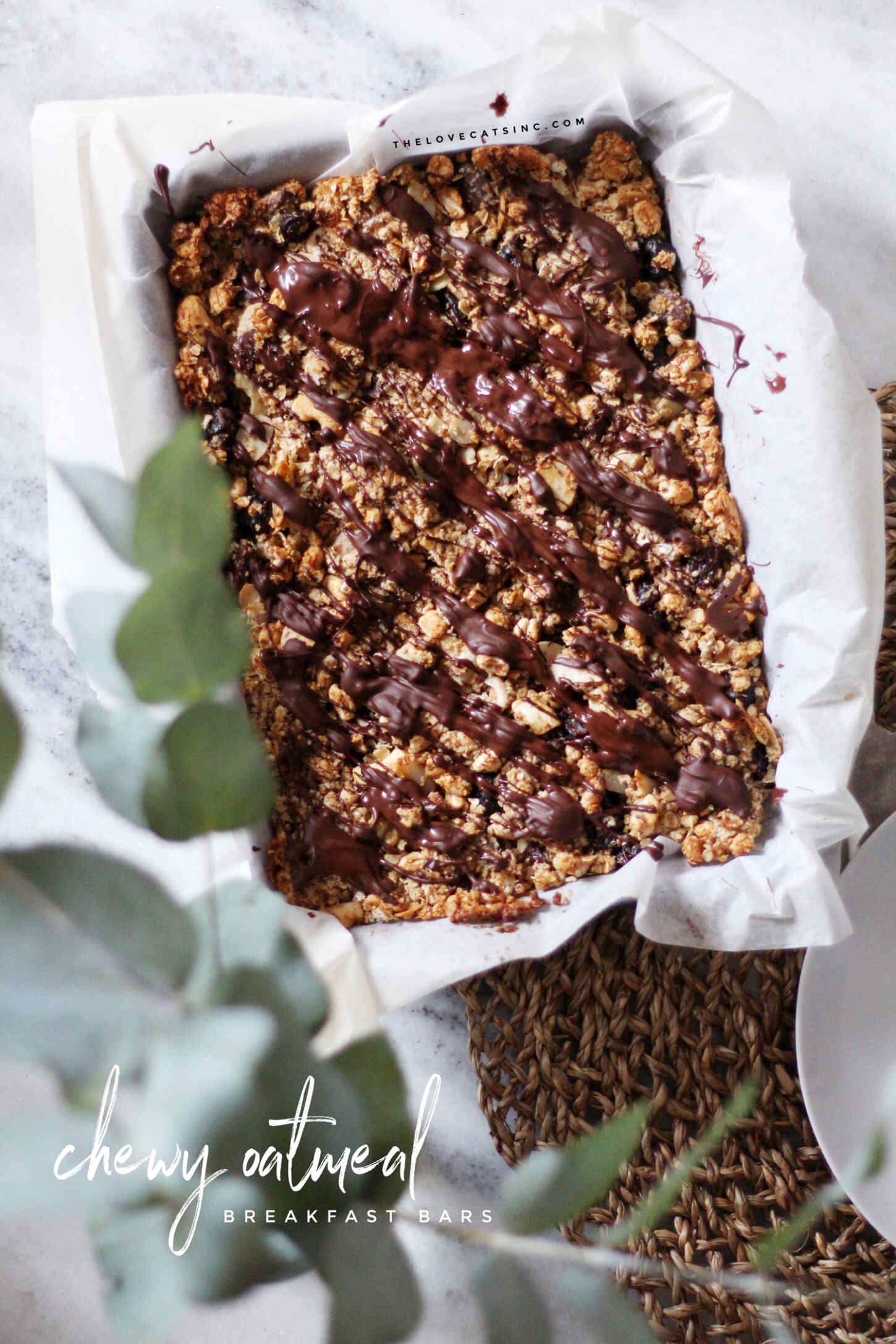 chewy-oatmeal-breakfast-bar-rolled-oats-fruit-nuts-recipe-8 chewy-oatmeal-breakfast-bar-rolled-oats-fruit-nuts-recipe-8