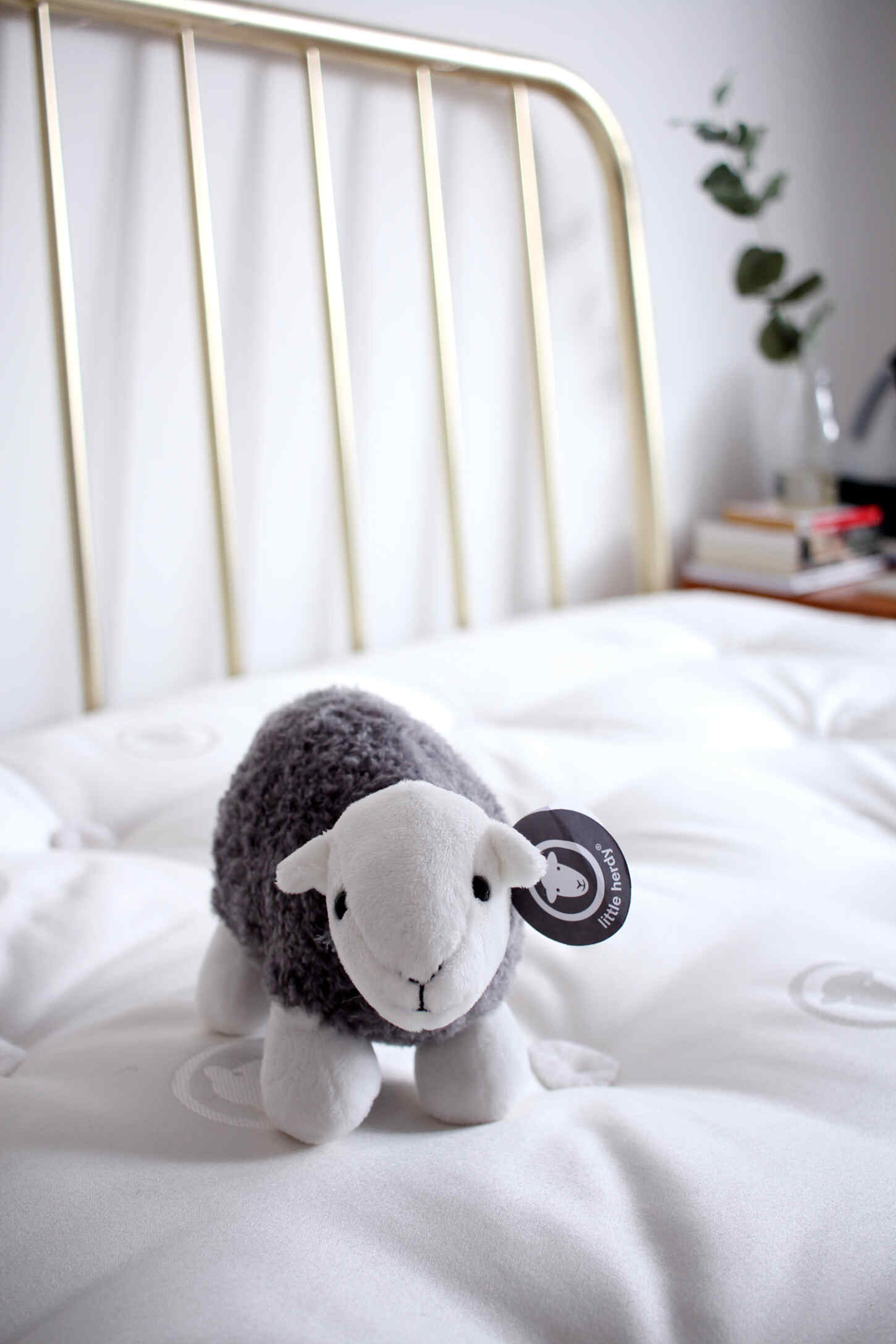 herdy-sleep-mattress-review-bedroom-interiors-blog