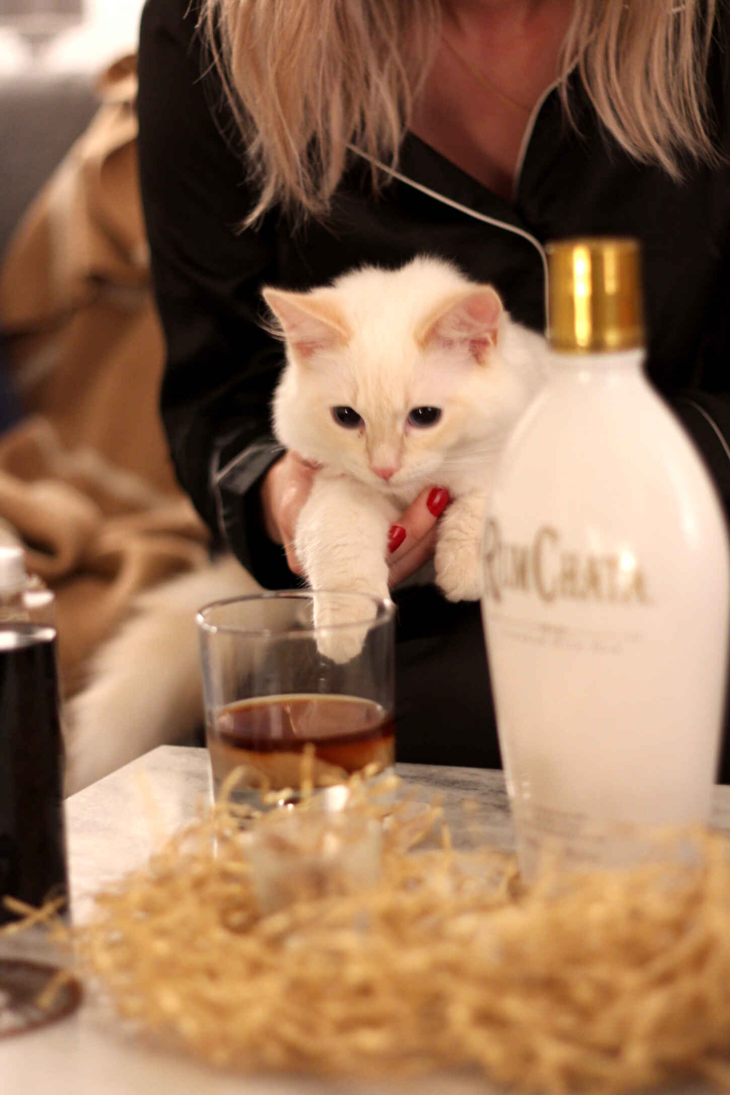 rum-chata-post-girls-night-in-lifestyle-cocktails-1