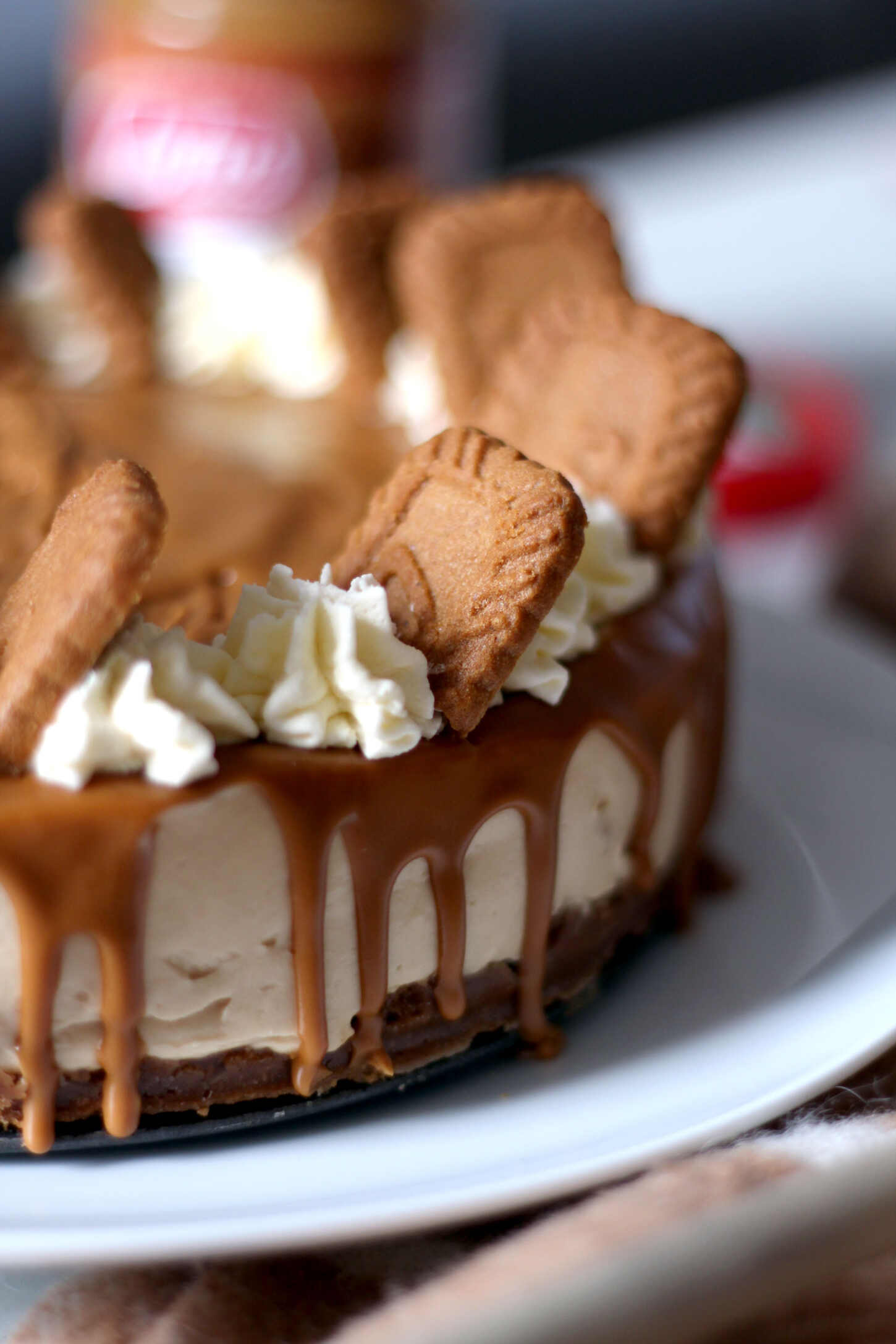 lotus-biscoff-cheesecake-recipe-easy-no-bake lotus-biscoff-cheesecake-recipe-easy-no-bake