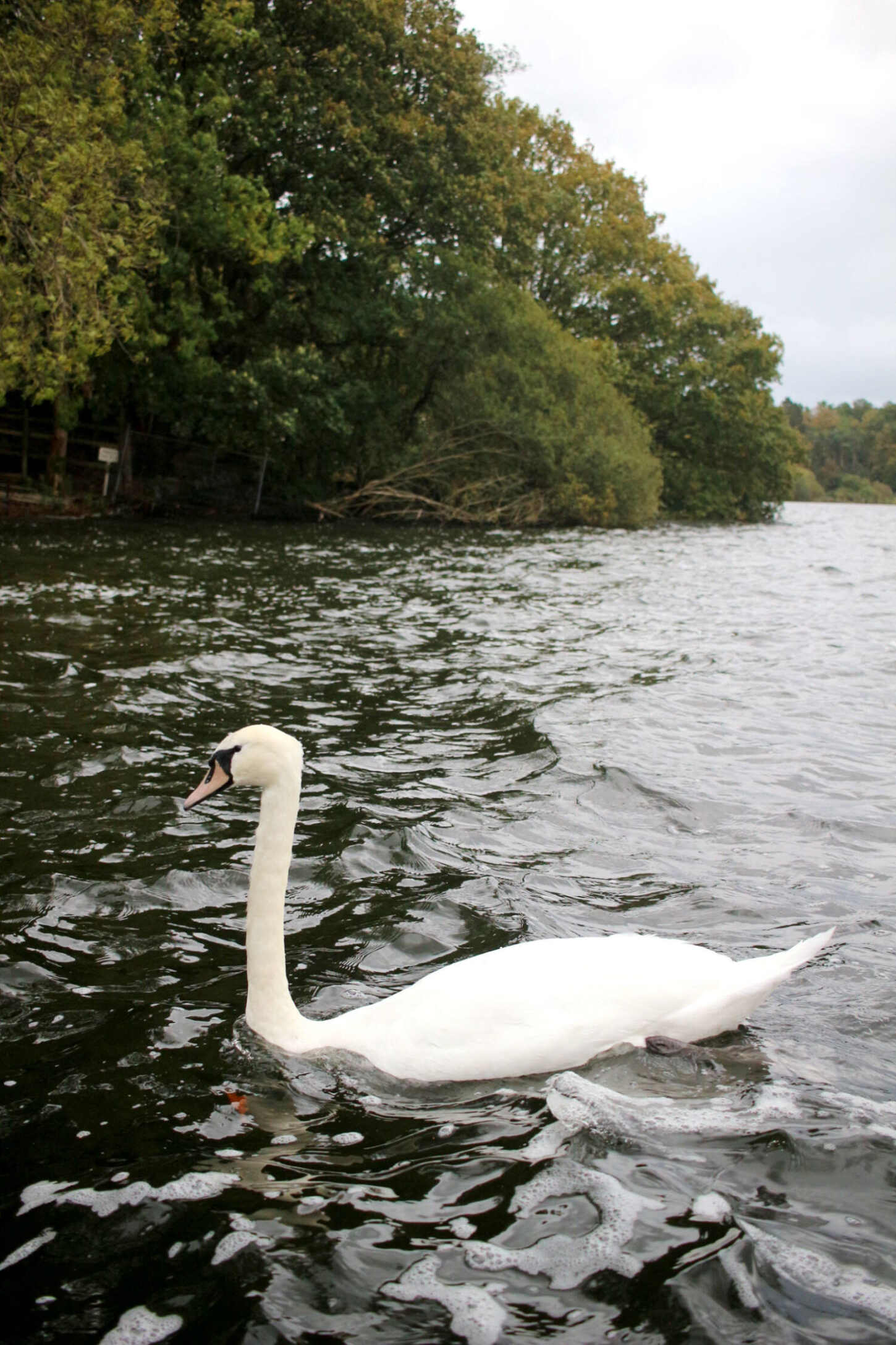 Langdale-Chase-Hotel-Windermere-review-Lake-Disctrict-7 Langdale-Chase-Hotel-Windermere-review-Lake-Disctrict-7